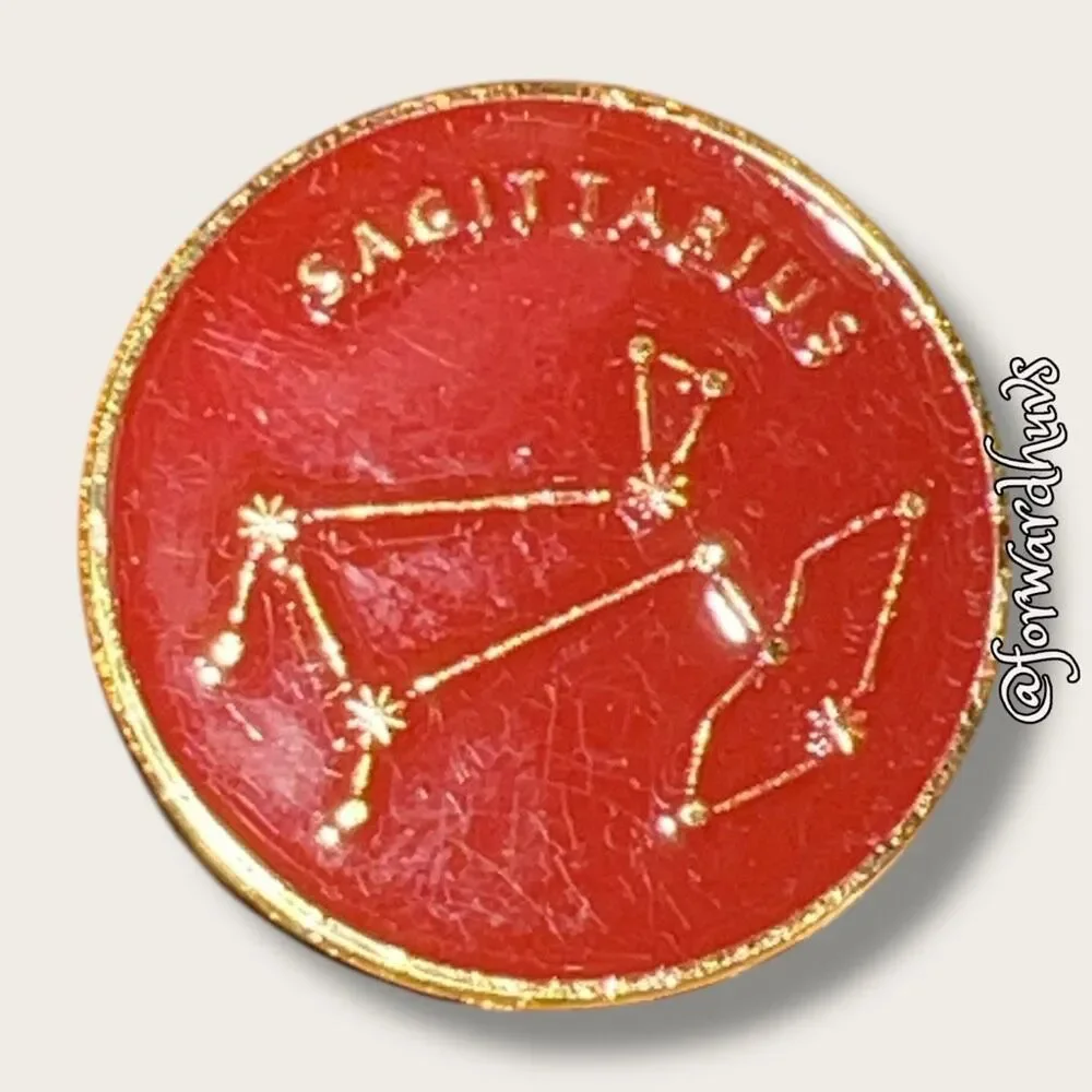 Astrology Sagittarius Pin￼